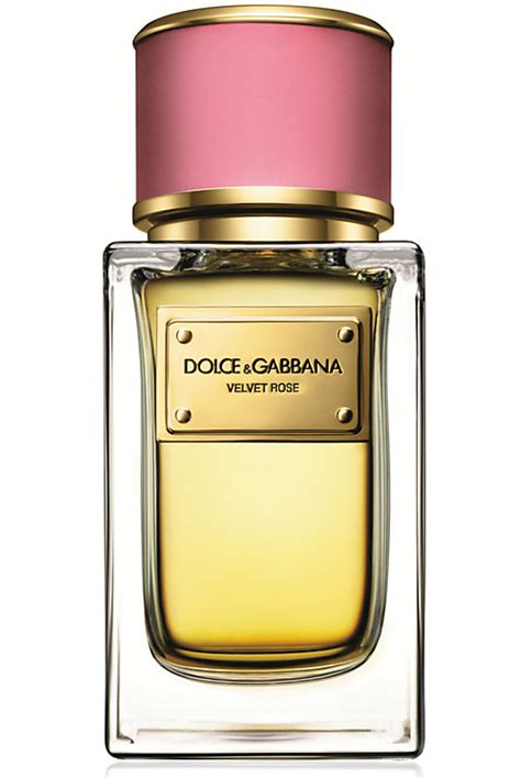 best dolce gabbana perfume for women|dolce gabbana perfume for women.